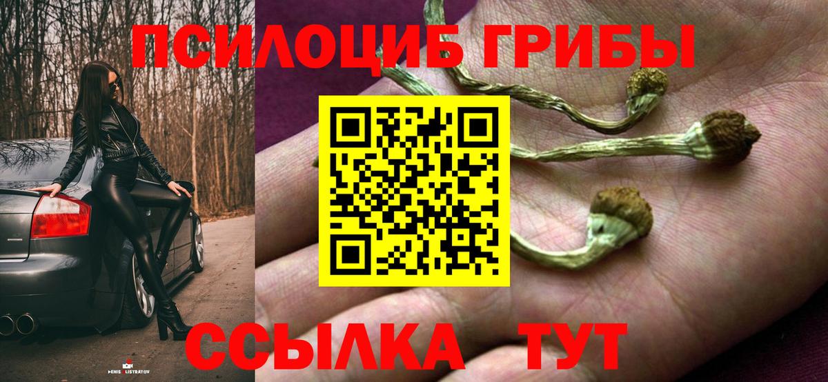 Псилоцибиновые грибы MAGIC MUSHROOMS  Галлюциногенные грибы мухоморы  Морозовск  продажа наркотиков  Вход с VPN 